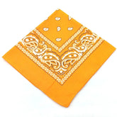 paisley pattern