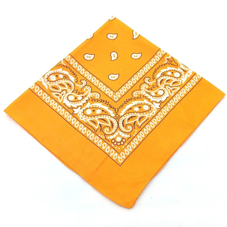 paisley pattern