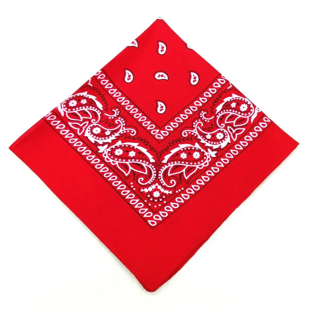 paisley pattern