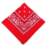 paisley pattern