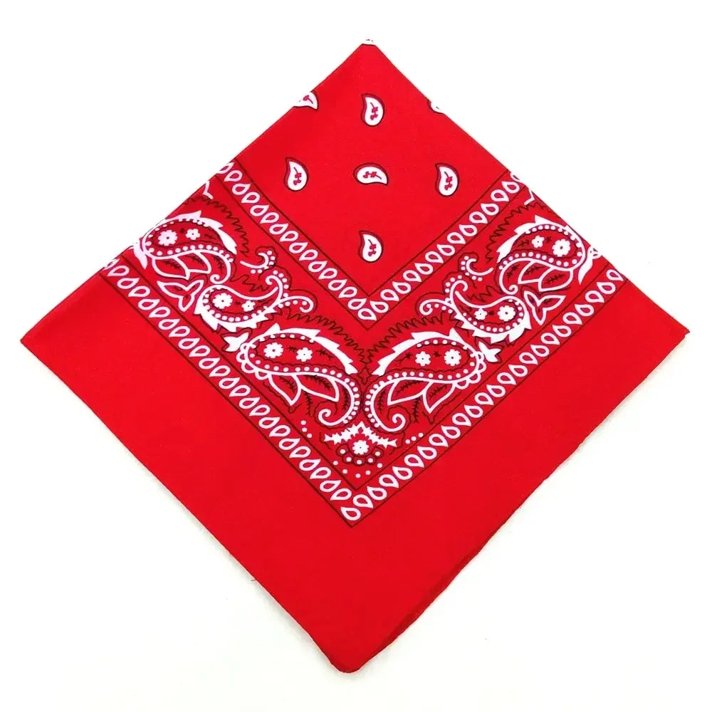 paisley pattern