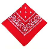 paisley pattern