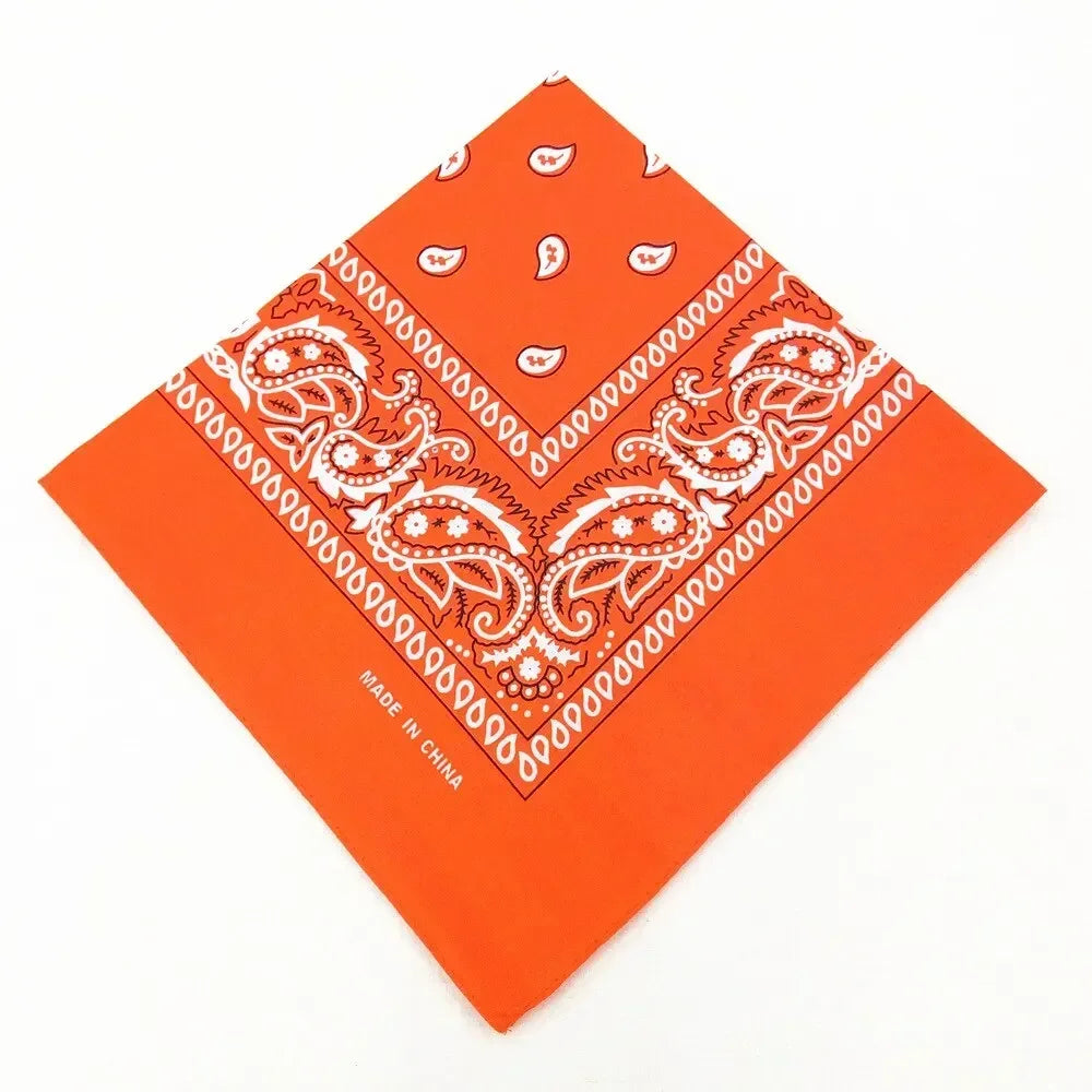 paisley pattern
