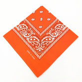 paisley pattern