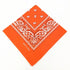 paisley pattern