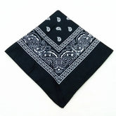 paisley pattern