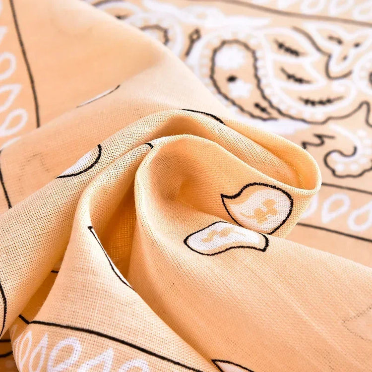 paisley pattern